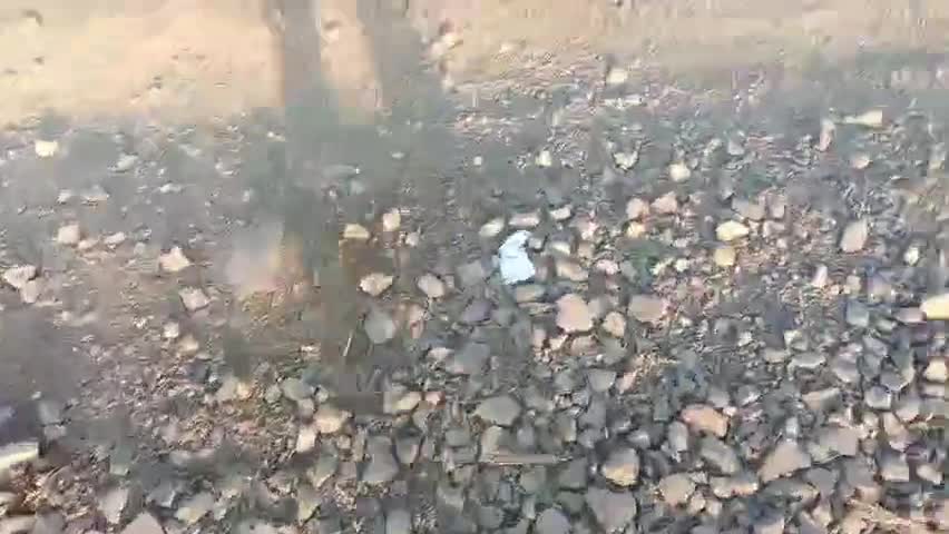 सिवनी छपारा जनपद पंचायत अंतर्गत आने वाले ग्राम सुकरी से थांवरी मार्ग 1 साल से अधूरा पड़ा है आला अधिकारी चुप्पी साधे हुए