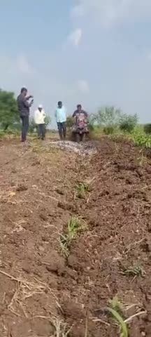 #पावर_वीडर_डीलर_बिजनौर, #कॉल-9999087359 l #निराई_गुड़ाई एवं #खुदाई करने के लिए #मशीन l#powerweederdealerdhampur #bijnor