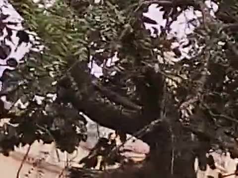 मन्दसौर रेल्वे स्टेशन रिजर्वेशन काउंटर पर जाने वाला रास्ते के गेट पर लगा है ताला ?? #रेलवे #मंदसौर #सांसद