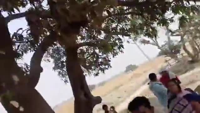 उचकागांव के हरपुर पंचायत के वार्ड नं 06 में शिशु बच्च पर यह सी
