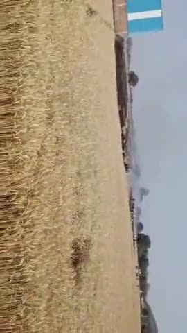 भीषमपुर में गेंहू की फसल में लगी भीषण आग..