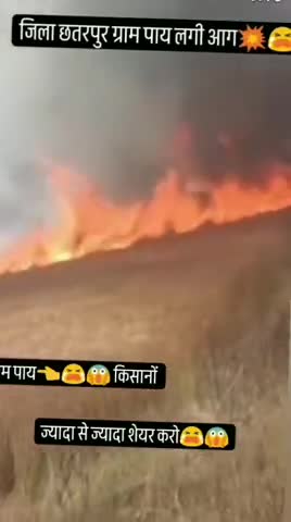 खेतों में लगी आग पाय में😱😭😭