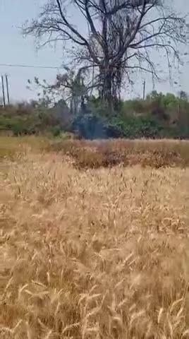 Anandpur Panchayat mein Aaj bada hadsa tal Gaya