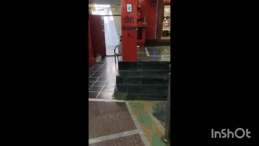 डौण्डीलोहारा: चैत्र नवरात्र का हुआ आगमन डोंडिलोहारा लोहार नगर की काली मंदिर में भक्तों का लगा ताता #Viral #News #Navratra