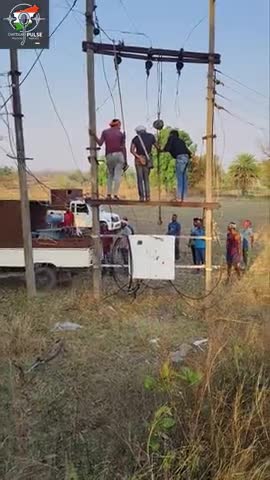 सरपंच सारिका साय की त्वरित पहल से गांव में रोशनी लौटी!
#Chhattisgarh #GramPanchayat #BJP #Vikas #Electricity #Sarpanch