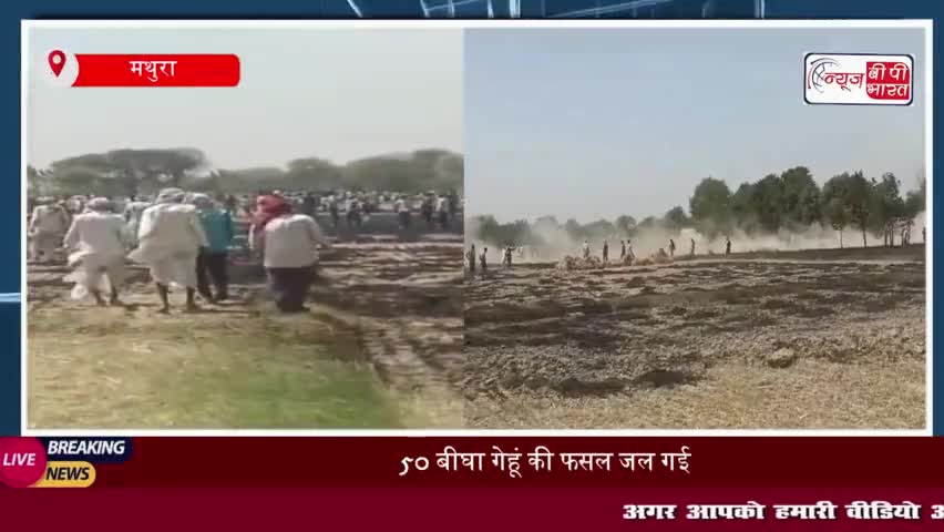 मथुरा के बलदेव में बिजली के तारों से गेहूं की 50 बीघा फसल जलकर राख, किसानों को हुआ लाखों का नुकसान
#मथुरा #बलदेव