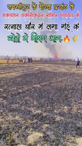 मोरवा प्रखंड के चकपाहार,चकसिकंदर,और सोंगर पंचायत के रत्नाहा चौर में गेहूं के खेतो में लगा भीषण आग.🌾🔥#viralvideo