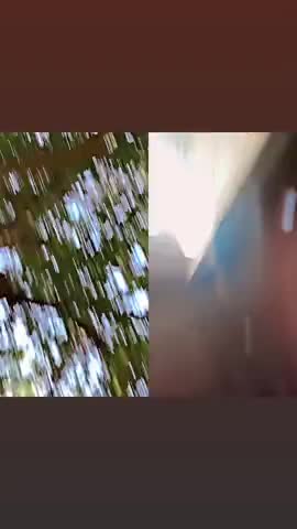 #viral video#real video viral#trending short viral video#public viral video#YouTube sort#😍😍😍