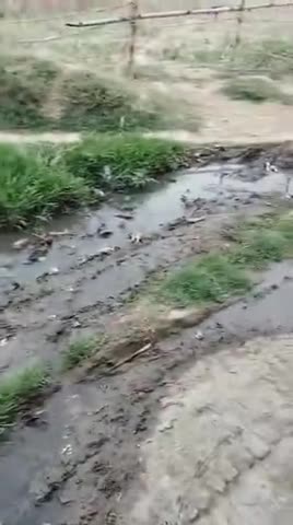 प्रिय प्रधान जी 

ग्राम धानोता चमटोल के पास शंकर जी का मंदिर है 
वहां का स्थिति देख लीजिए आने-जाने में बहुत प्रॉब्लम हो