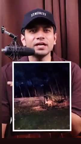 Telangana forrest demolished in congress government? 🤔🤔🤔 #viral #video #2025 #telangana #forest demolished