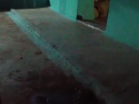mere ghar me sap gusa h
usko Marne ki kosis nakam rha h