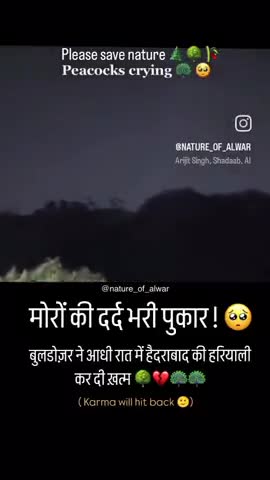 save animals 🐨🐱🐯🦁🐻‍❄️save forest 🎄🌲🌴 please share😢😔#save animals