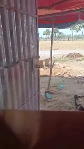 Sherghati me garmi tegi se badh Raha hai #dinesh92610768