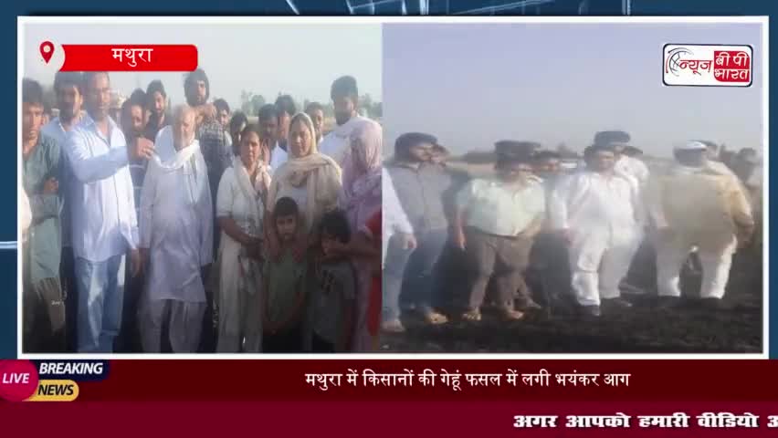 मथुरा के छाता तहसील में आग से 200 बीघा गेहूं की फसल जलकर राख, कांग्रेस जिला अध्यक्ष ने मुआवजे की मांग की
#मथुरा #छाता
