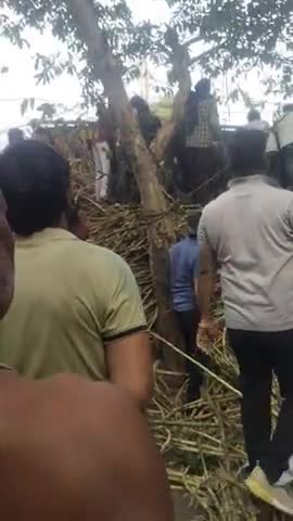 खतौली में ट्रक प्लस पैसे बहुत बड़ा हुआ हादसा कहीं लोग घायल और कहीं एक बच्चा और लेडिस की हुई मृत्यु