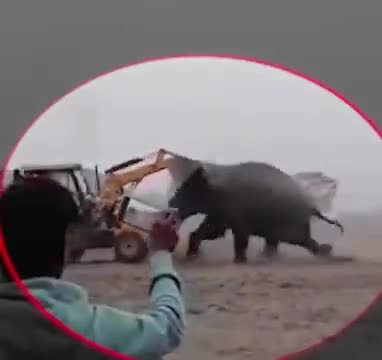 बेज़ुबान भी लड़ने लगे तानाशाही के खिलाप …

Akhilesh Yadav 
Dimple Yadav 
Samajwadi Party 
#samajwadipartyofficial
