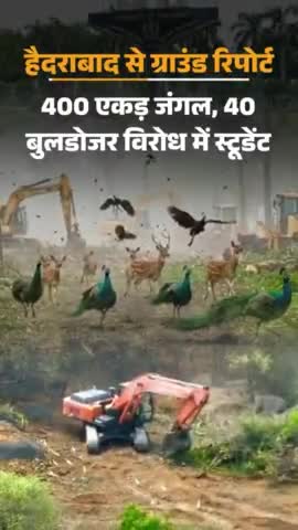 जंगल ही जीवन है 



#india #bharat #viral