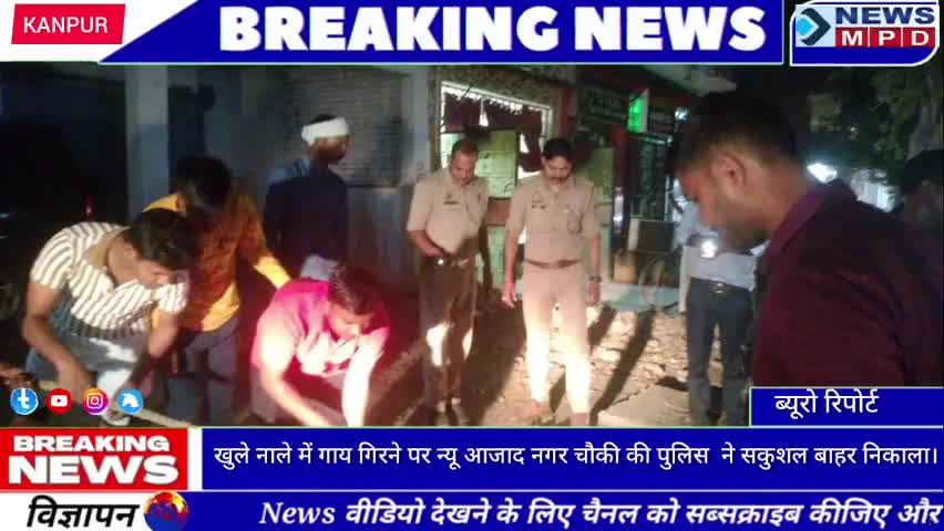 खुले नाले में गाय गिरने पर न्यू आजाद नगर चौकी की पुलिस व गौ रक्षकों ने सकुशल बाहर निकाला। #breaking #trending #latest