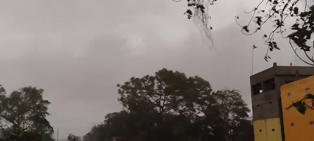 कोईलवर प्रखंड के विभिन्न क्षेत्रों में आंधी-तूफान के साथ वर्षा भी हुई। बेमौसम बरसात से  फसलों को काफी क्षती हुई है।