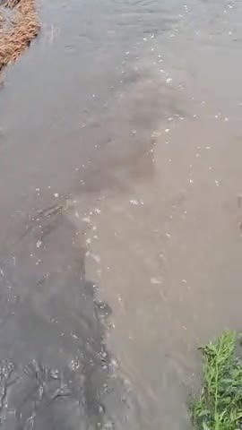 Belokhra bihar supaul iiiiiiii bihar