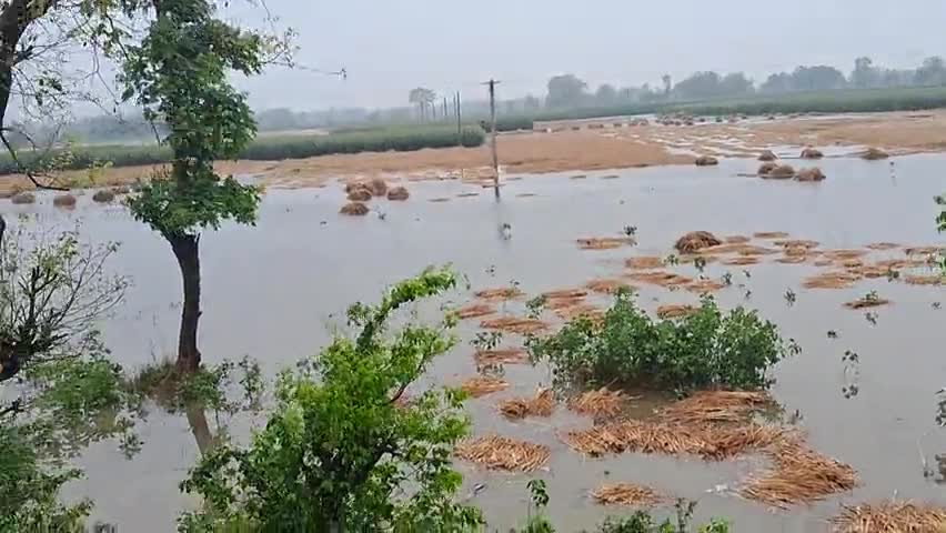 Belokhra bihar supauldddd