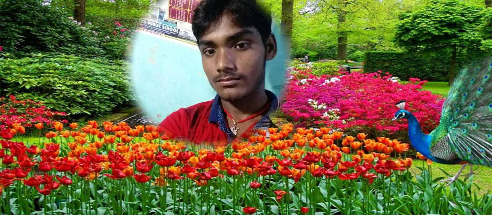 rupesh8981