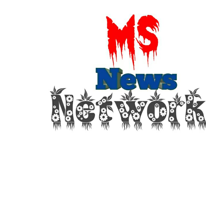 msnews image