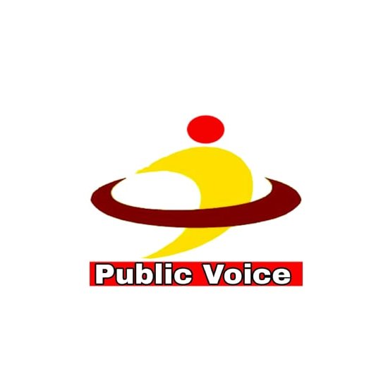 the_public_voice