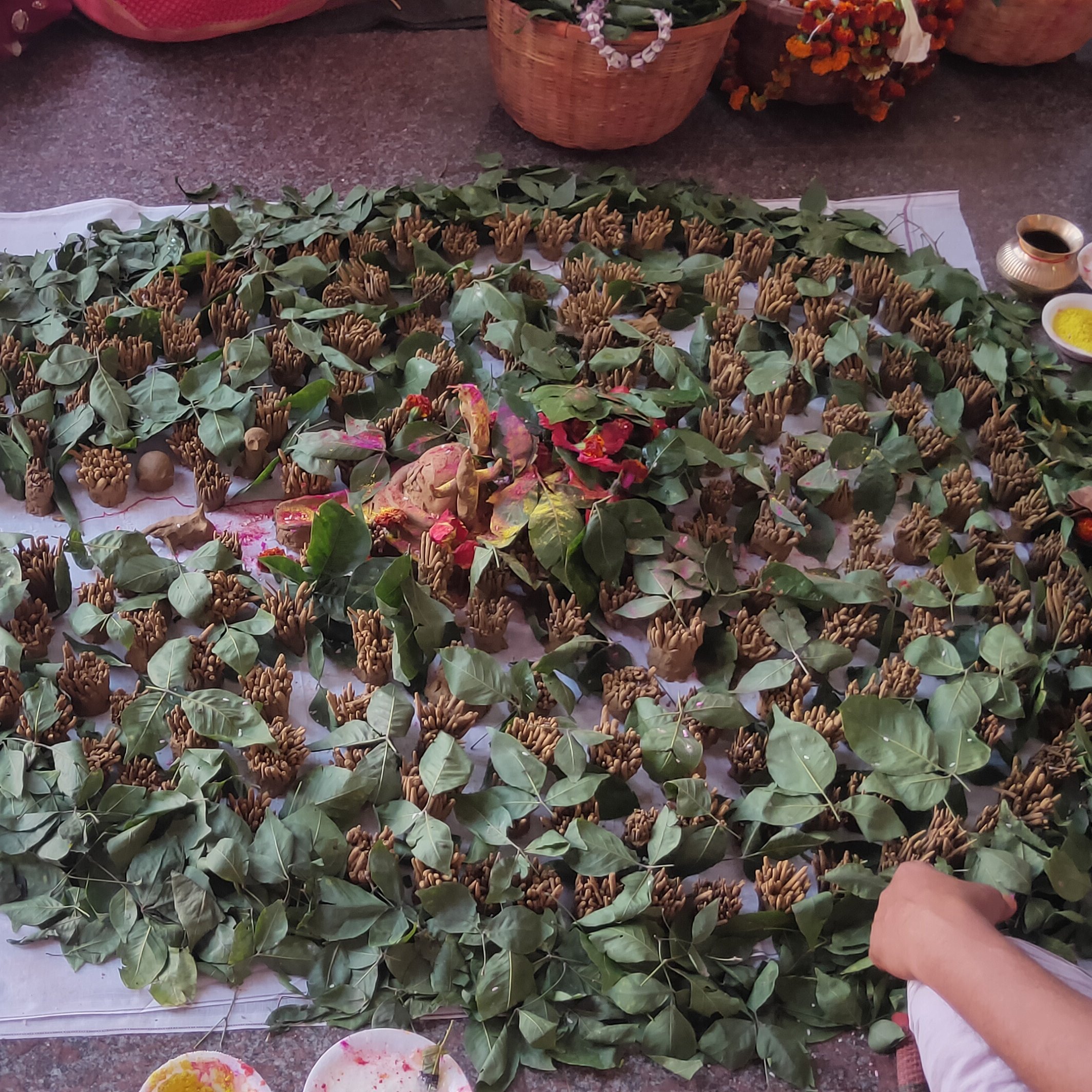 basukinath.ki.khabar