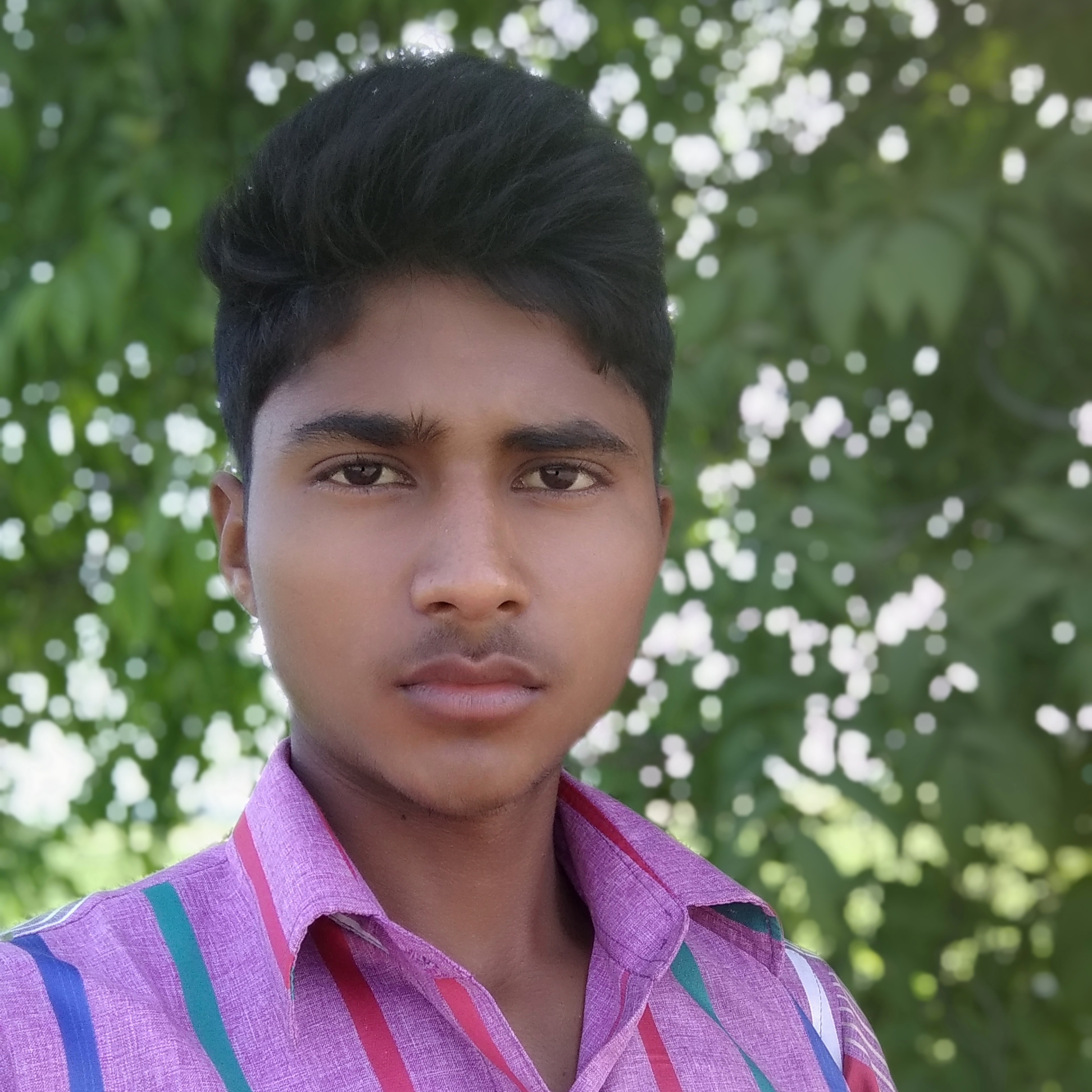 omvikash01