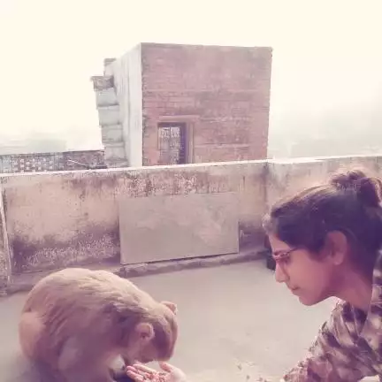 poonamsinghal