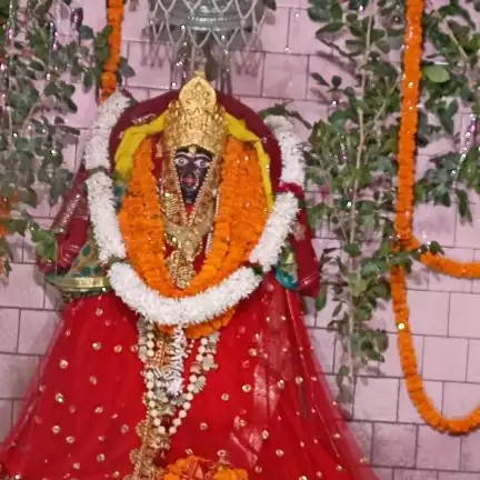 himanshuseth