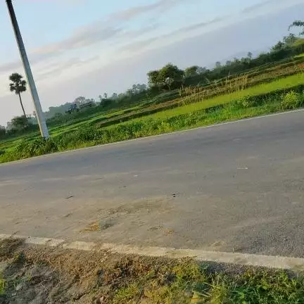 subodhgupta