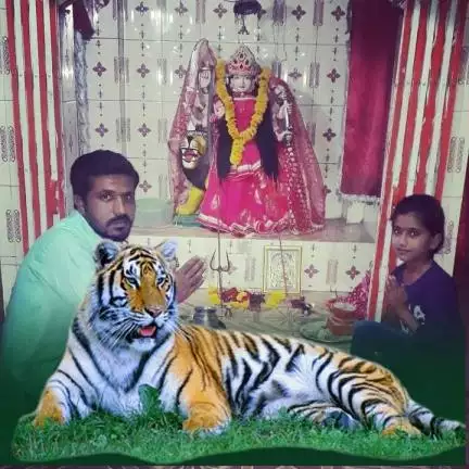 vijay42706