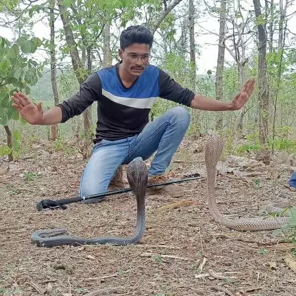 indoresnakerescue