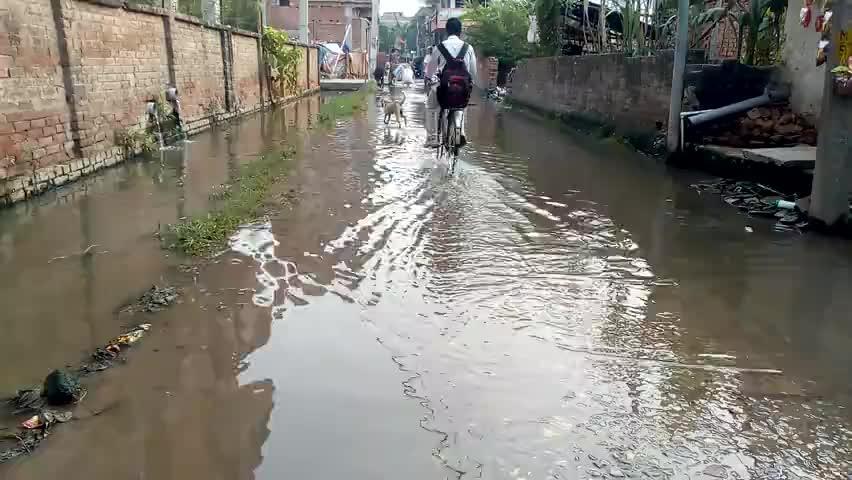 Hajipur, Vaishali : हाजीपुर: हाजीपुर के पोखरा मोहल्ला में जलजमाव, पानी नही  हुई निकासी,पैदल चलना हुआ मुश्किल, लोगों को हो रही परेशानी | Public App