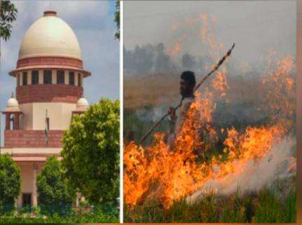 पराली जलाए जाने को तत्काल रोकिए; हम नहीं जानते कि आप कैसे करेंगे, यह आपका काम है: पंजाब से सुप्रीम कोर्ट #पराली