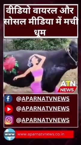 14 फरवरी का प्रेमी युगल को सोशल मीडिया में तोफा #news #aparnatvnews #atn #14february