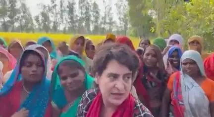 बाराबंकी में धान काट रही महिलाओं से कांग्रेस नेता प्रियंका गांधी ने की मुलाकात, वीडियो आया सामने #प्रियंका_गांधी
