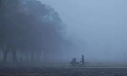 दिल्ली में 1.5°C दर्ज हुआ न्यूनतम तापमान, कोहरे के कारण 46 उड़ानें हुईं प्रभावित #दिल्ली_ठंड #शीतलहर