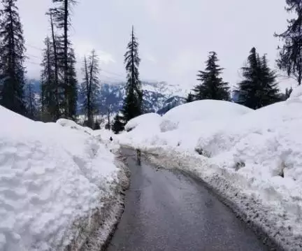 हिमाचल में येलो अलर्ट जारी, बर्फबारी और बारिश का अनुमान #बर्फबारी #येलो_अलर्ट