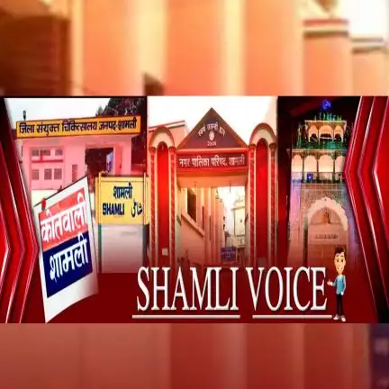 shamlivoice