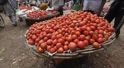 दिल्ली-एनसीआर में शुक्रवार से रियायती दरों पर मिलेंगे टमाटर: केंद्र सरकार #टमाटर