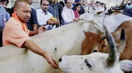 ज्ञानवापी को मस्जिद कहेंगे तो विवाद होगा, मस्जिद में त्रिशूल क्या कर रहा है?: सीएम योगी #ज्ञानवापी #योगी