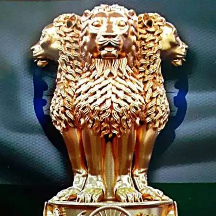 anshusocial image