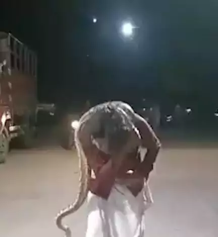अजगर के साथ तस्वीर खिंचवाने की कोशिश कर रहे शख्स का केरल में सांप ने घोंटा गला, सामने आया वीडियो #अजगर
