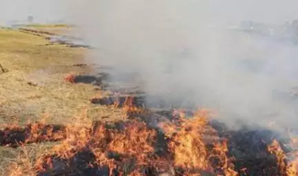 महाराजगंज में पराली जलाने पर 10 किसान गिरफ्तार व 3 लेखपाल किए गए निलंबित #पराली #प्रदूषण
