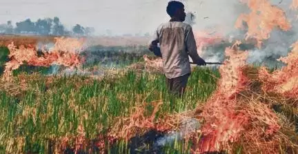 डीजीपी व मुख्य सचिव की देखरेख में पराली जलाए जाने को रोका जाए: पंजाब समेत 3 राज्यों से सुप्रीम कोर्ट #पराली