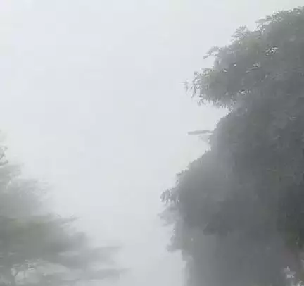 भीषण ठंड के चलते यूपी के कई ज़िलों में स्कूलों में बढ़ाई गईं छुट्टियां #ठंड #मौसम