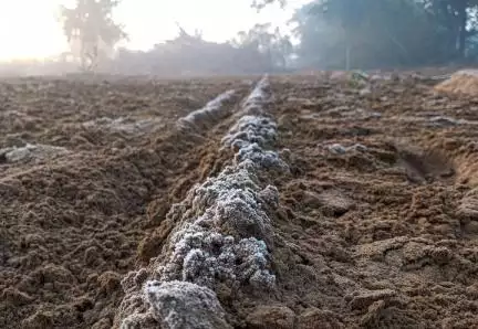 4 राज्यों और 2 केंद्र शासित प्रदेशों के लिए शीतलहर व भीषण शीतलहर की चेतावनी हुई जारी #शीतलहर #मौसम